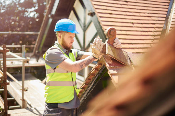 Best Roof Gutter Cleaning  in Silver Lakes, CA
